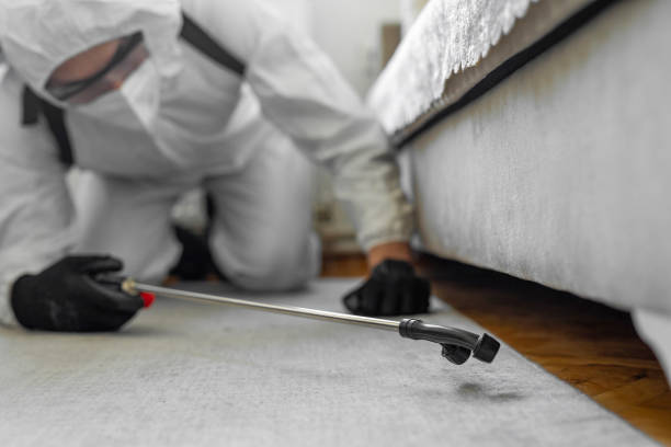 Professional Termite Control technician working in Guthrie County County, IA
